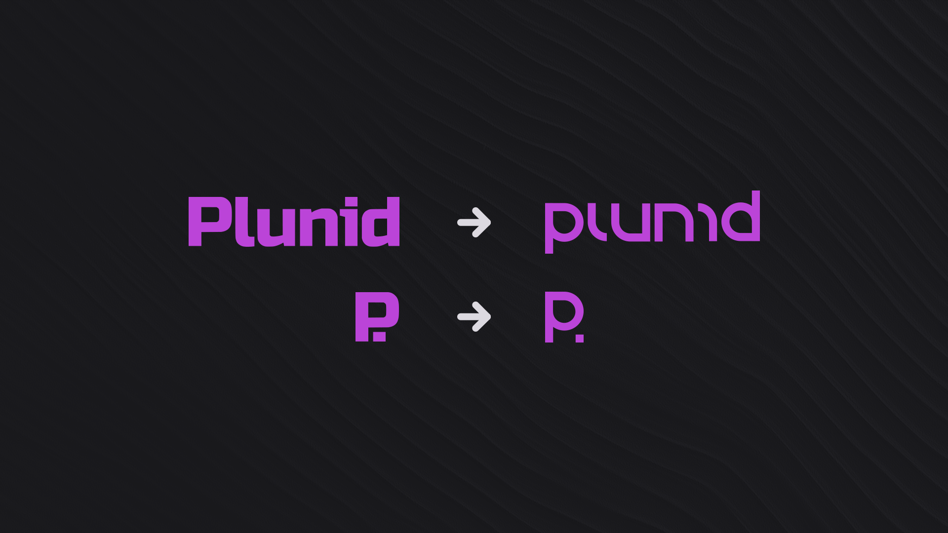 Plunid rebranded logo
